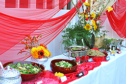 FOR MARRIAGE EQUALITY