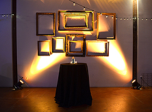 FRINGES OF THE NIGHT