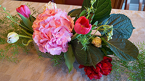 HAPPY HAPPY BIRTHDAY