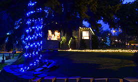 HOME FOR THE HOLIDAYS