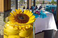 KASSAPALOOZA FEATURING HIT EXPLOSION