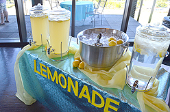 KASSAPALOOZA FEATURING HIT EXPLOSION