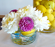 KASSAPALOOZA FEATURING HIT EXPLOSION