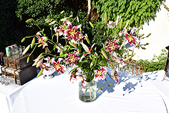 LAUNCH TO VANDERBILT