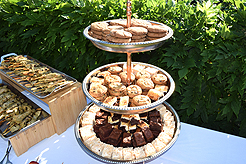 LAUNCH TO VANDERBILT