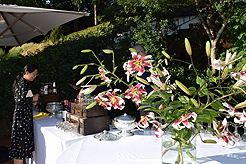 LAUNCH TO VANDERBILT