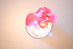 MI16 - THE MERCER ISLAND SWEET SIXTEEN