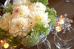 WINTER WINE MATCHING