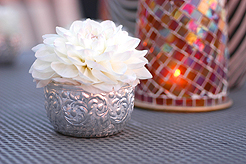 WINTER WINE MATCHING