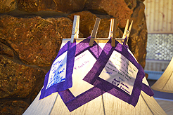 ROCKY MOUNTAIN WEDDING