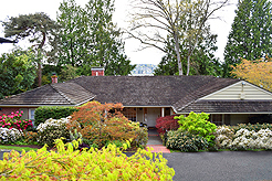 SATURDAY NIGHT FEVER