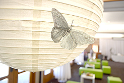 SPRING HAS SPRUNG BAT MITZVAH