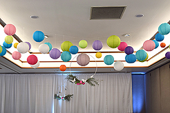 SPRING HAS SPRUNG BAT MITZVAH