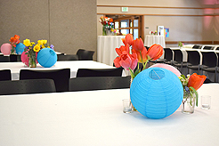 SPRING HAS SPRUNG BAT MITZVAH