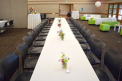 SPRING HAS SPRUNG BAT MITZVAH