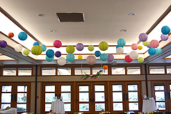 SPRING HAS SPRUNG BAT MITZVAH