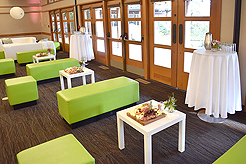 SPRING HAS SPRUNG BAT MITZVAH