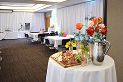 SPRING HAS SPRUNG BAT MITZVAH