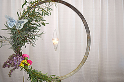 SPRING HAS SPRUNG BAT MITZVAH