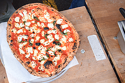 SPRING HAS SPRUNG BAT MITZVAH