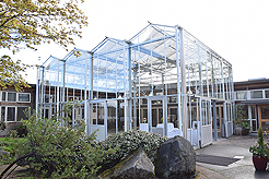 SPRING HAS SPRUNG BAT MITZVAH