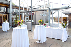 SPRING HAS SPRUNG BAT MITZVAH