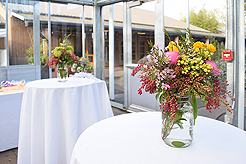 SPRING HAS SPRUNG BAT MITZVAH