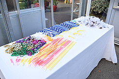 SPRING HAS SPRUNG BAT MITZVAH