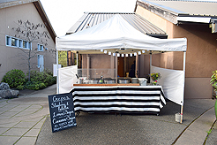 SPRING HAS SPRUNG BAT MITZVAH