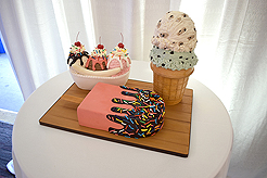 SPRING HAS SPRUNG BAT MITZVAH