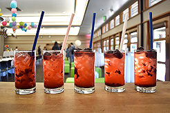 SPRING HAS SPRUNG BAT MITZVAH