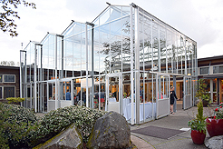 SPRING HAS SPRUNG BAT MITZVAH