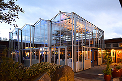 SPRING HAS SPRUNG BAT MITZVAH