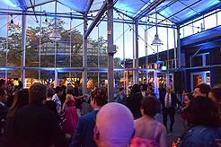 SPRING HAS SPRUNG BAT MITZVAH