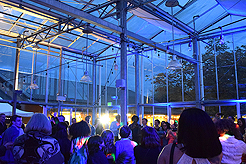 SPRING HAS SPRUNG BAT MITZVAH