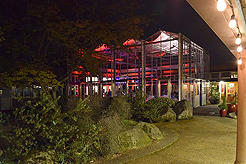 SPRING HAS SPRUNG BAT MITZVAH