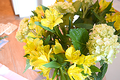 THE DECEPTIVE DINNER