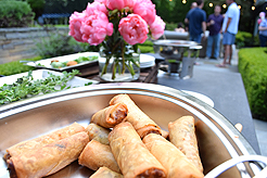 THE ULTIMATE GARDEN PARTY