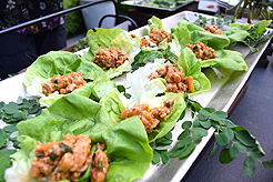 THE ULTIMATE GARDEN PARTY