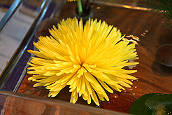 JOURNEY THROUGH ASIA