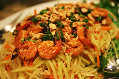 JOURNEY THROUGH ASIA