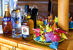 NIGHT IN THE CARIBBEAN