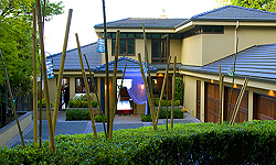 NIGHT IN THE CARIBBEAN