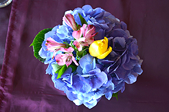 WELCOME TO THE KASBAH