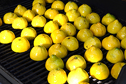 WELCOME TO THE KASBAH